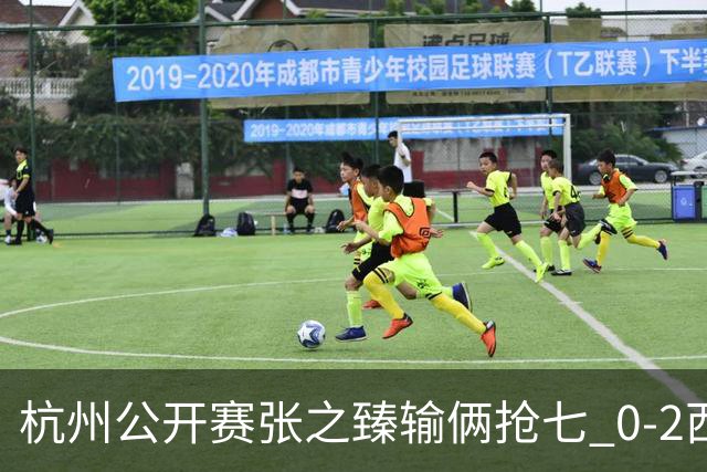 杭州公开赛张之臻输俩抢七 0-2西里奇收获亚军